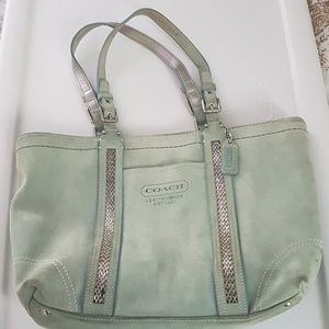 Mint green bag